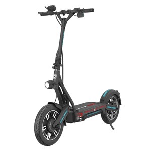 Trottinette électrique dualtron city batterie 25ah
