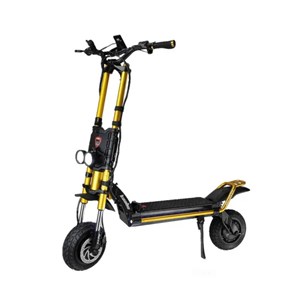 Trottinette électrique wolf warrior king gtr kaabo or