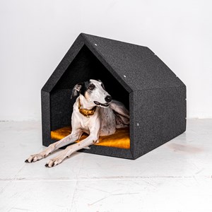 Pethome ortho gris foncé-bleu s