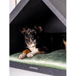 Pethome ortho gris foncé-vert s