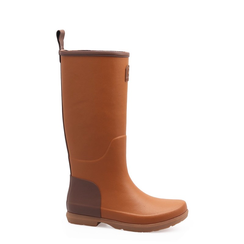 Botte origin camel