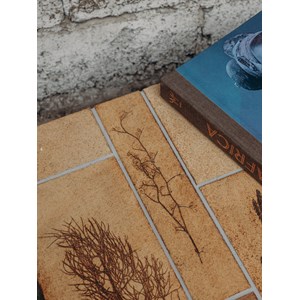 Donna, la table basse roger capron n°370