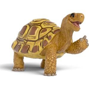 Henrietta la tortue