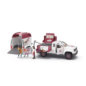 Horse club vétérinaire mobile avec van