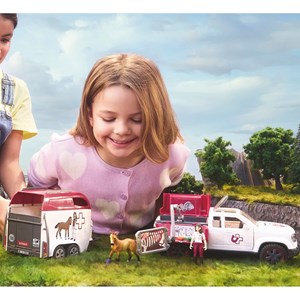 Horse club vétérinaire mobile avec van