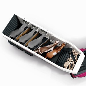 Horse club pick-up et sa grande remorque