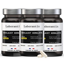 Shilajit himalaya breveté - cure de 3 mois