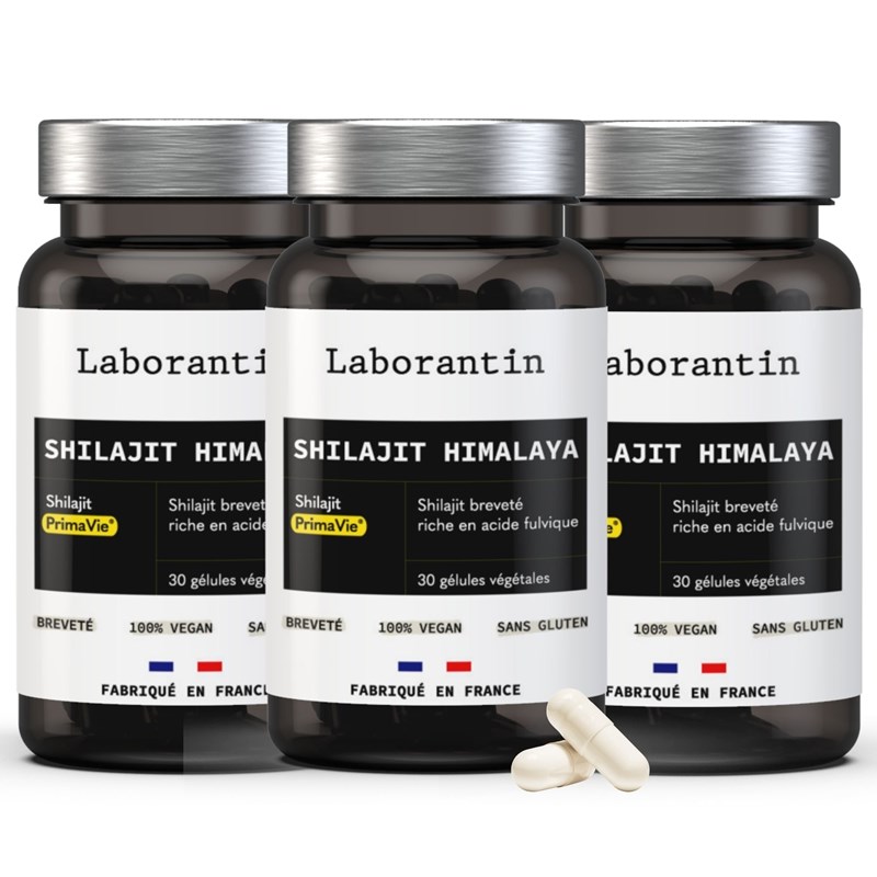 Shilajit himalaya breveté - cure de 3 mois
