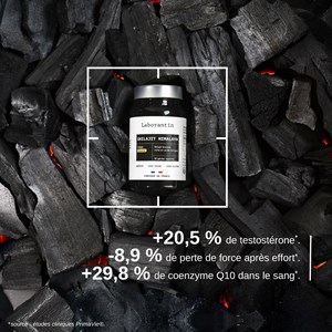 Shilajit himalaya breveté - cure de 3 mois