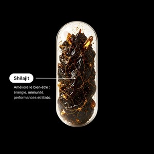 Shilajit himalaya breveté - cure de 3 mois