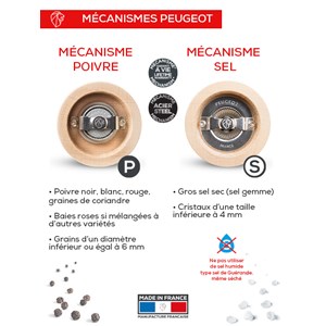 Paris duo de moulins à poivre et à sel