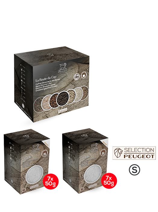 Sel blanc pack de 2 étuis de gros sel