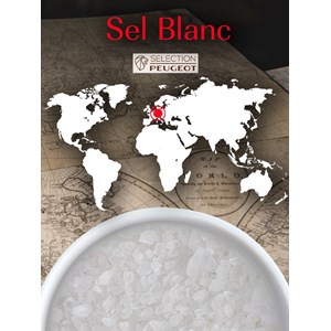 Sel blanc pack de 2 étuis de gros sel