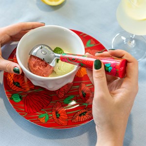 Cuillère à glace  rouge