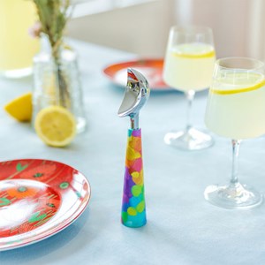 Cuillère à glace  multicolore