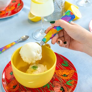 Cuillère à glace  multicolore