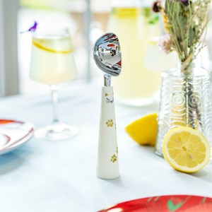 Cuillère à glace  blanc