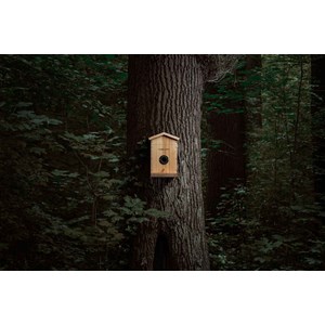 Nichoir à oiseaux connecté avec détection des espèces par ia - ez-nesteye