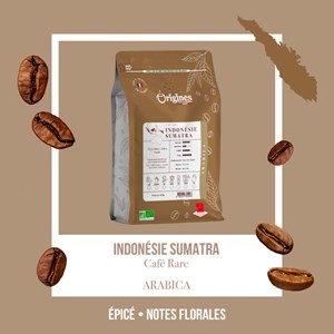 Café rare bio - sumatra gayo - grain 250g