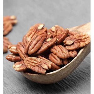 Carya noix de noix de pecan 7 l 120-140 cm