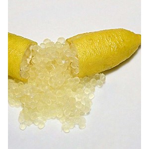 Citron caviar pulpe jaune 9 l -140-160 cm