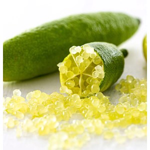 Citron caviar pulpe jaune 9 l -140-160 cm