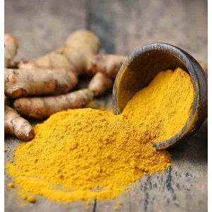 Curcuma longa safran des indes 2 l 0-80 cm