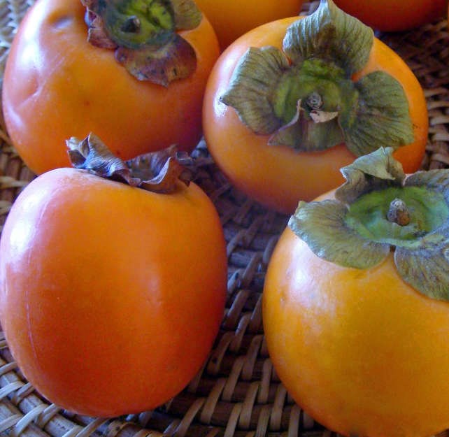 Jardin Tropic - Diospyros kaki var.persimon 9 l -140-160 cm