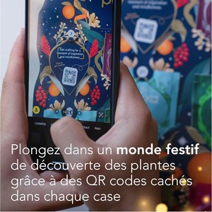Pukka calendrier de l'avent + 1 mug pukka, thé vert et infusions