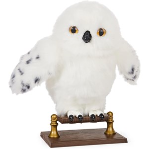 Wizarding world harry potter - hibou int