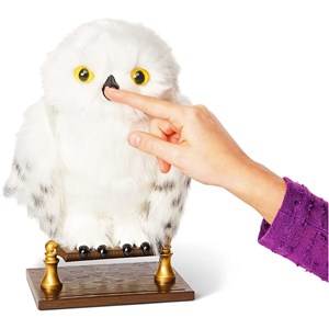 Wizarding world harry potter - hibou int