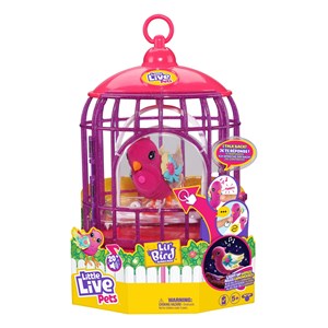 Little live pets : lil' oiseau & bird ca