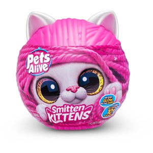 Chatons de pets alive