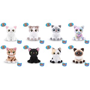 Chatons de pets alive