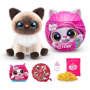 Chatons de pets alive