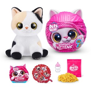 Chatons de pets alive