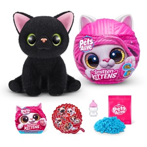 Chatons de pets alive