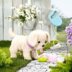 Baby born mon chien lucky avec box