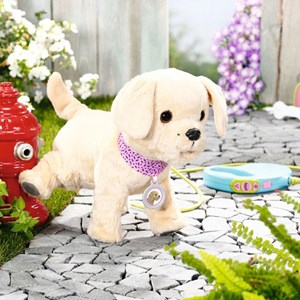 Baby born mon chien lucky avec box