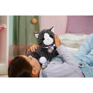 Mon chat cookie avec boîte