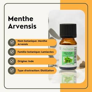 Huile essentielle menthe arvensis 10ml