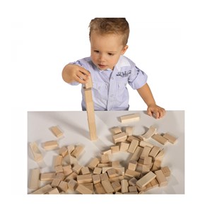 Lot de blocs de construction eh nature