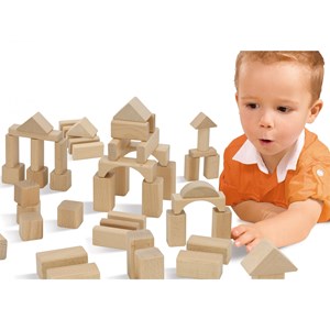 Lot de blocs de construction eh nature