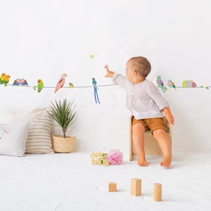 Frise adhésive with the birds (5 m)