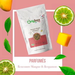 Rencontre mangue & bergamote - thé vert bio mangue bergamote - sachet 100g
