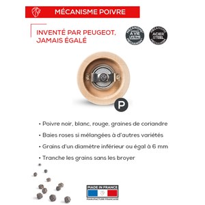 Paris u'select moulin à poivre manuel