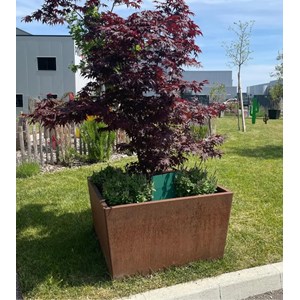 Jardinière big en acier corten