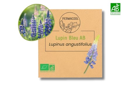 Engrais vert : lupin bleu bio