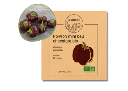 Poivron mini chocolate bell bio