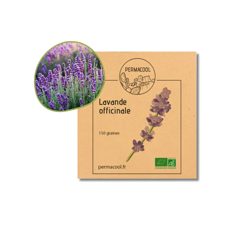 Lavande officinale bio